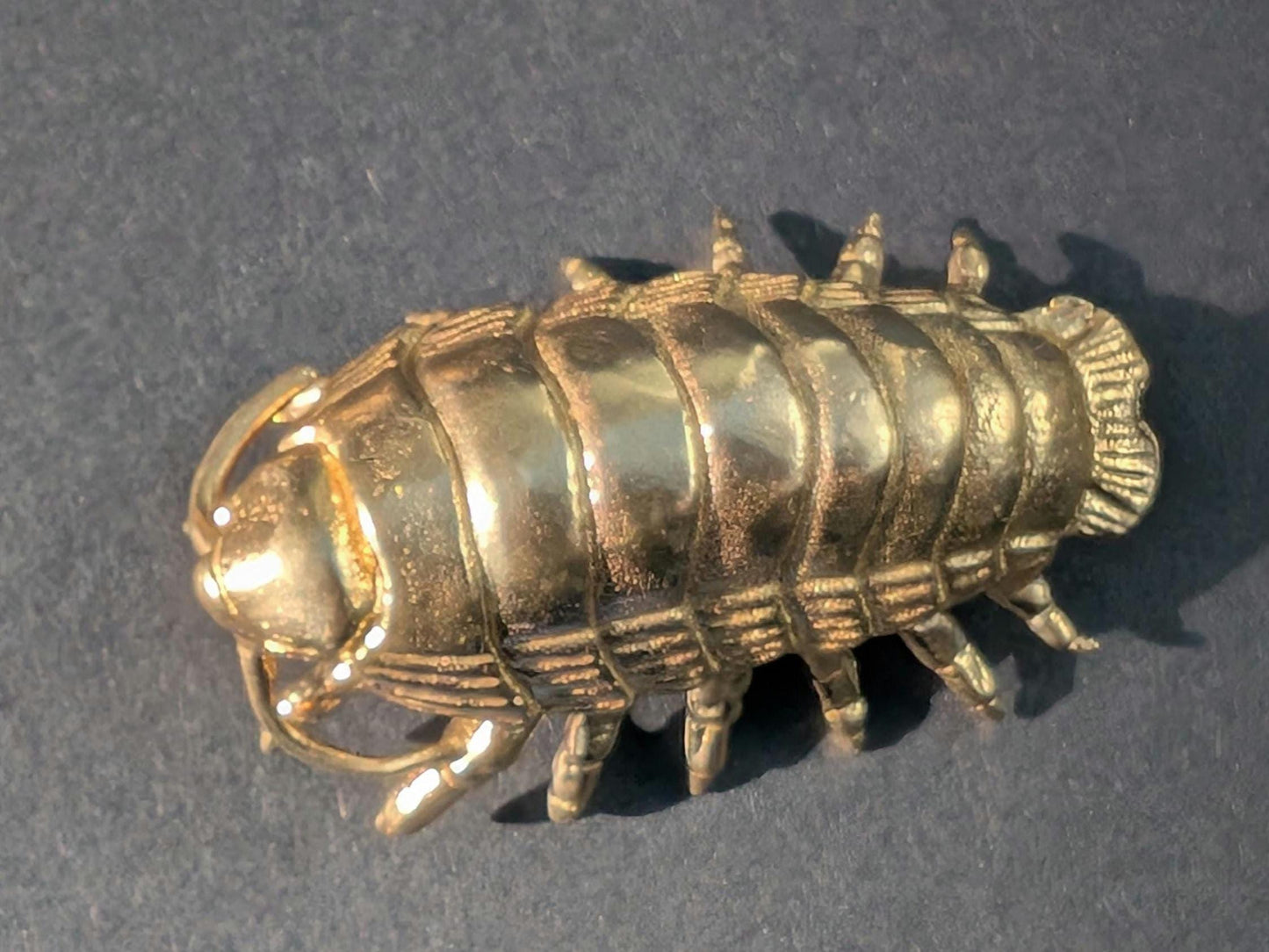 Large brass woodlouse cabinet pull/Isopod shaped Door Handle/Gold insect drawer knob/unique furniture hardware/Roly-polies door knob