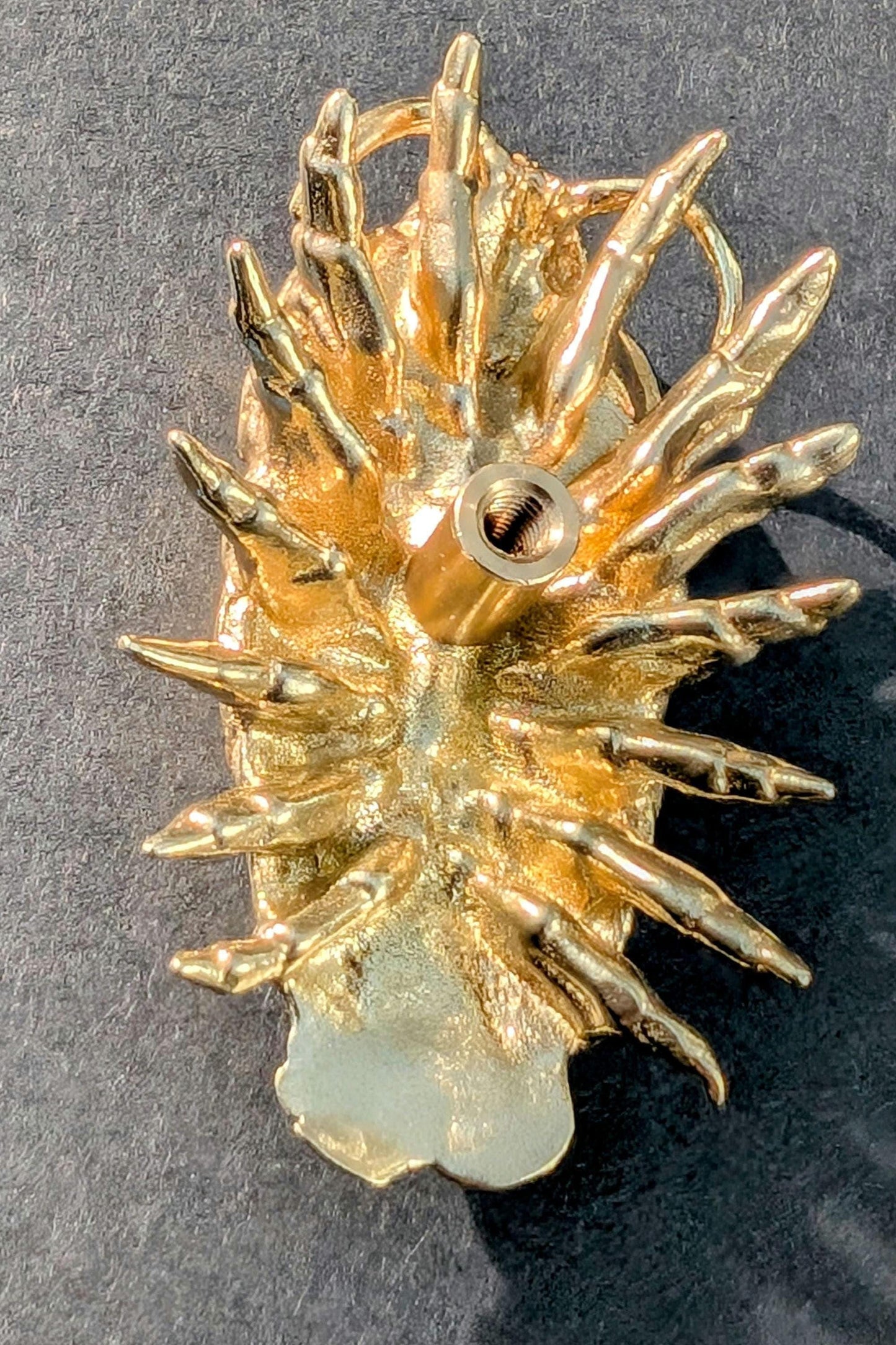 Brass Woodlouse Cabinet Pull: Gold Isopod Door Knob