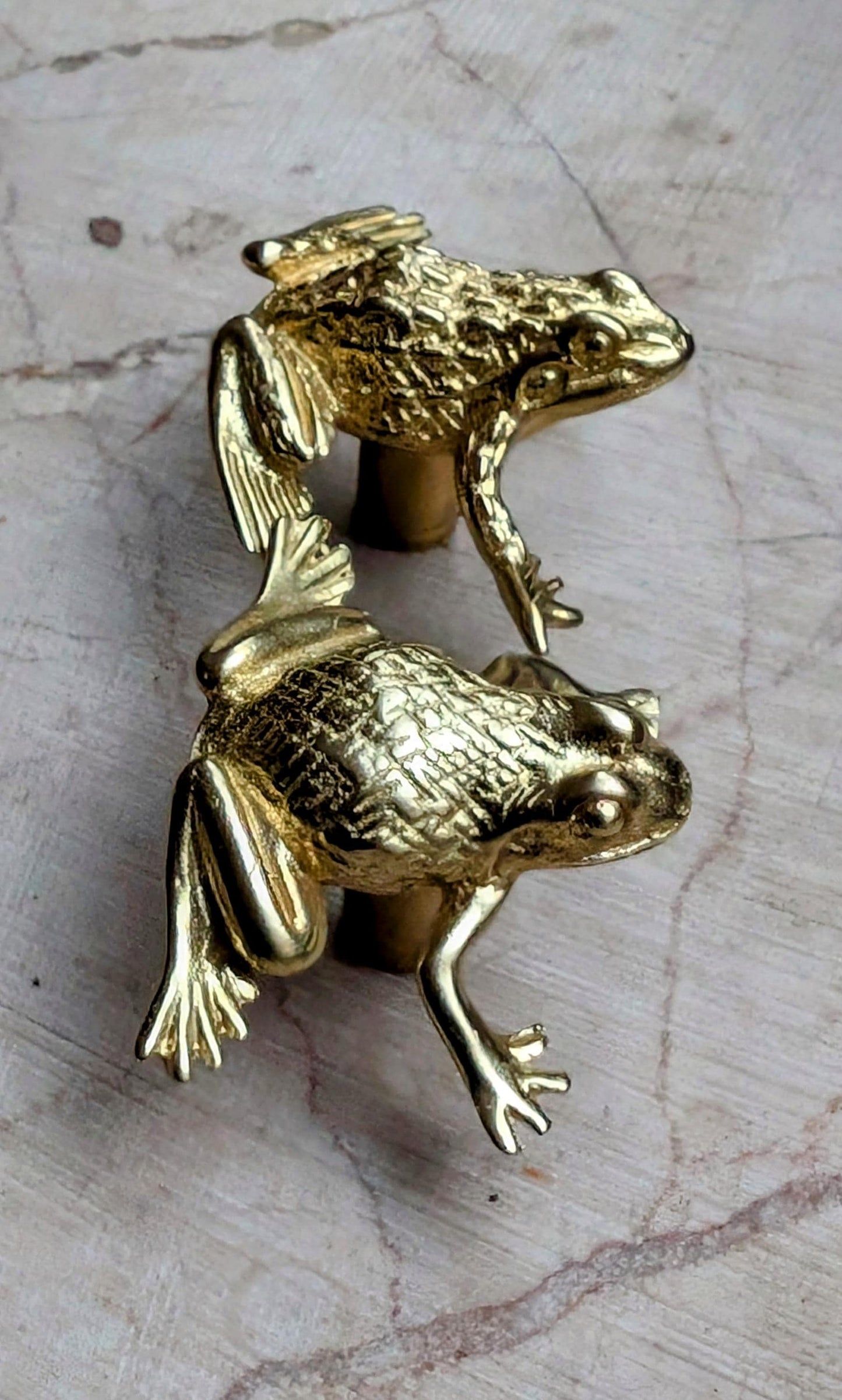 Gold Brass and Aged Bronze Frog or Toad Cabinet Knob: Novelty Brass Drawer Pull