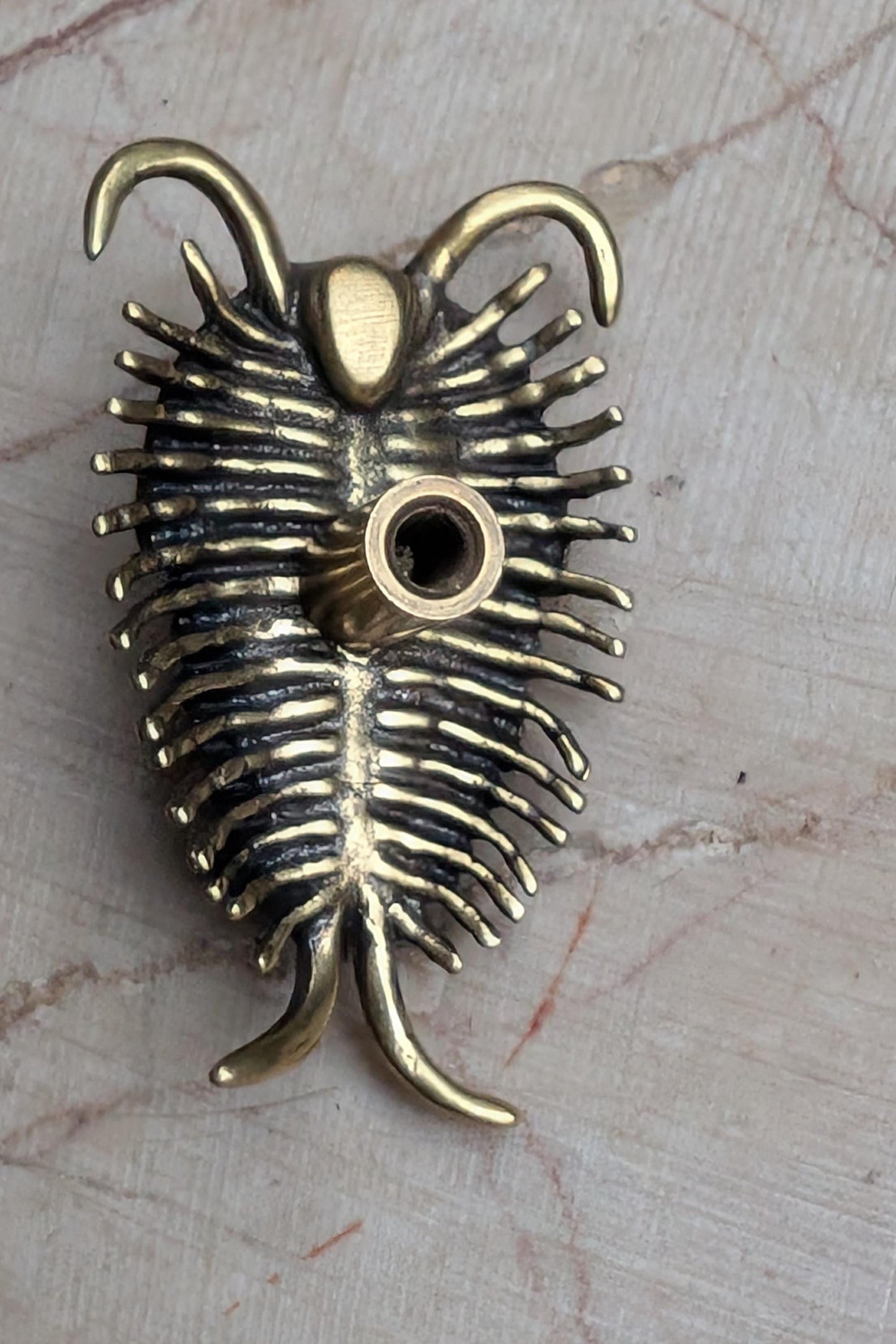 Brass Trilobite Cabinet Pull: Unique Furniture Hardware