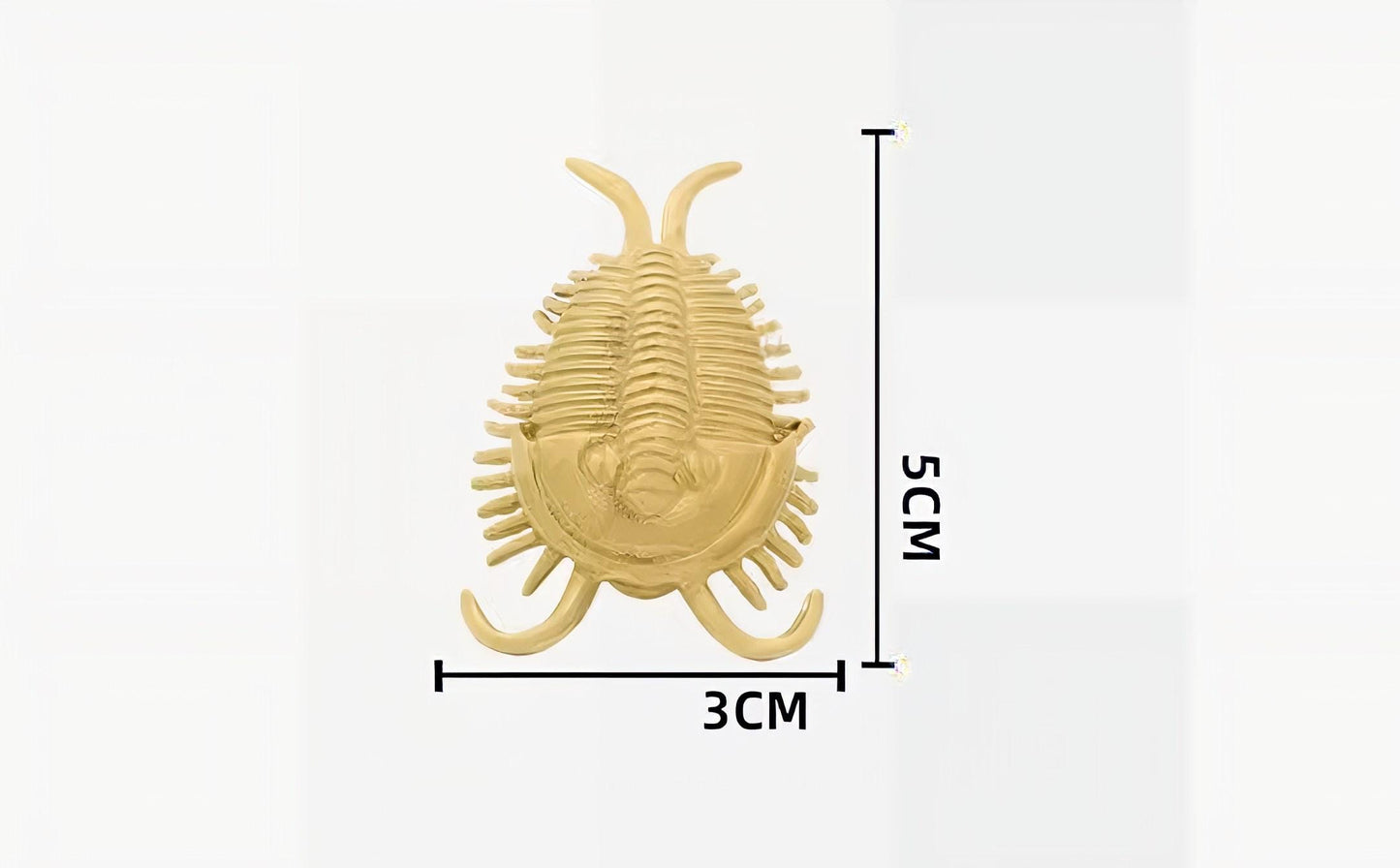 Brass Trilobite Cabinet Pull: Unique Furniture Hardware