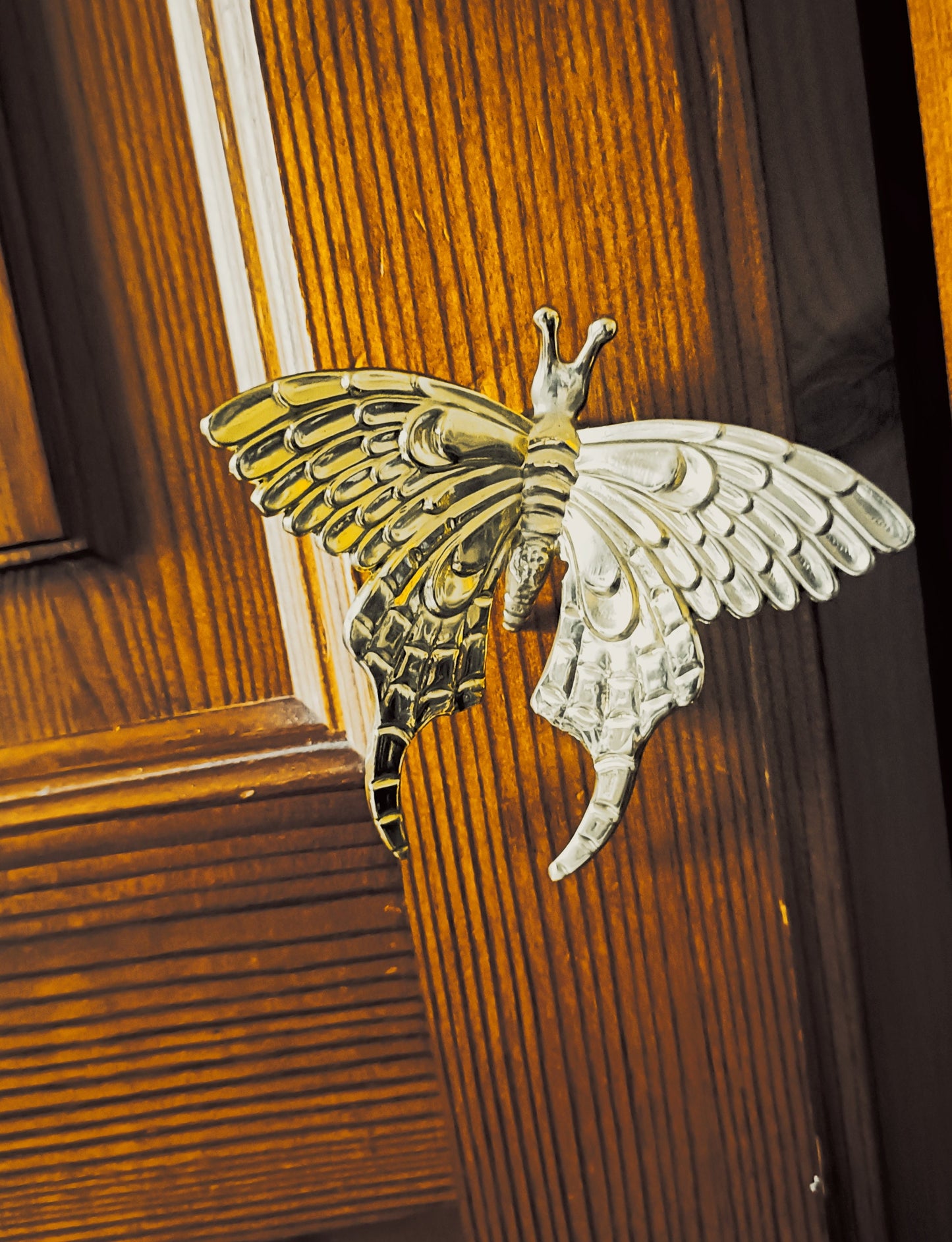 Gold Brass butterfly cabinet handle/Shiny gold moth cabinet pull/butterfly door handle/gold butterfly knob/Gold furniture hardware