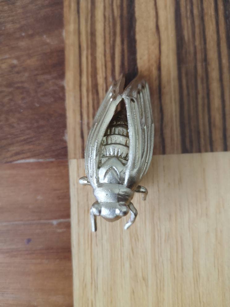Gold brass cicada insect shaped cabinet pull/Insect door handle/Gold bug drawer handle/Brass beetle door knob/Unique gold furniture hardware