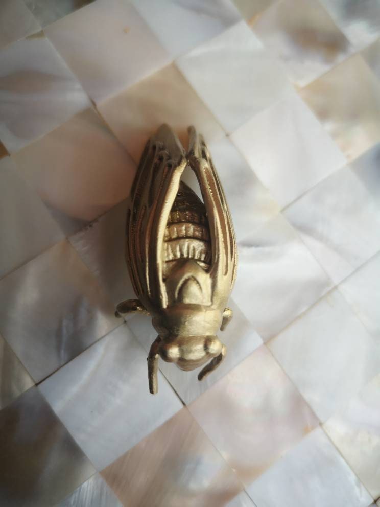 Gold brass cicada insect shaped cabinet pull/Insect door handle/Gold bug drawer handle/Brass beetle door knob/Unique gold furniture hardware