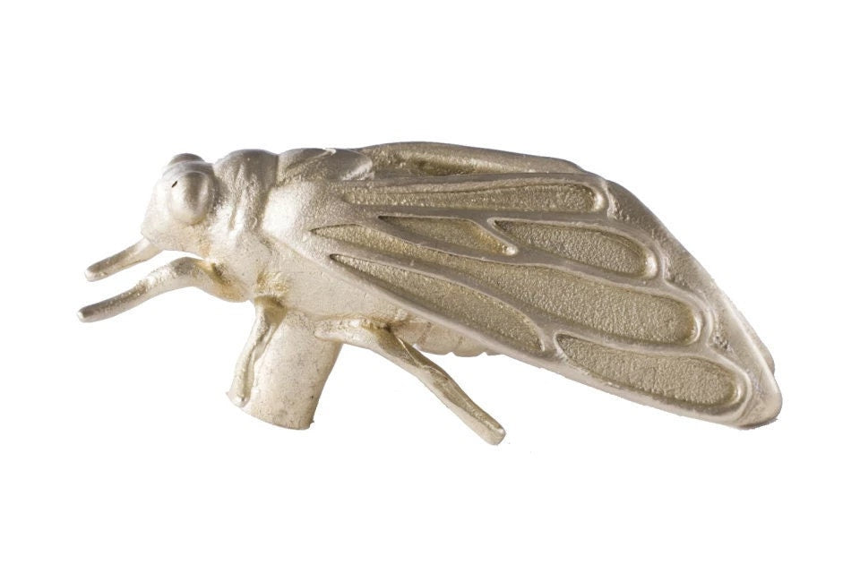 Gold brass cicada insect shaped cabinet pull/Insect door handle/Gold bug drawer handle/Brass beetle door knob/Unique gold furniture hardware