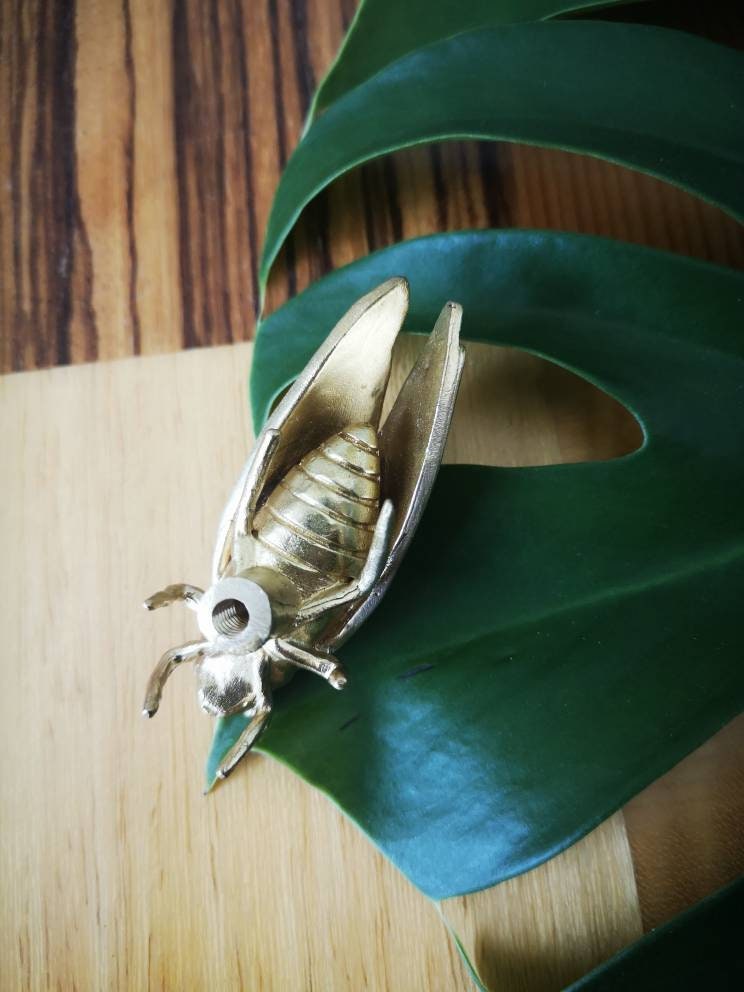 Gold brass cicada insect shaped cabinet pull/Insect door handle/Gold bug drawer handle/Brass beetle door knob/Unique gold furniture hardware