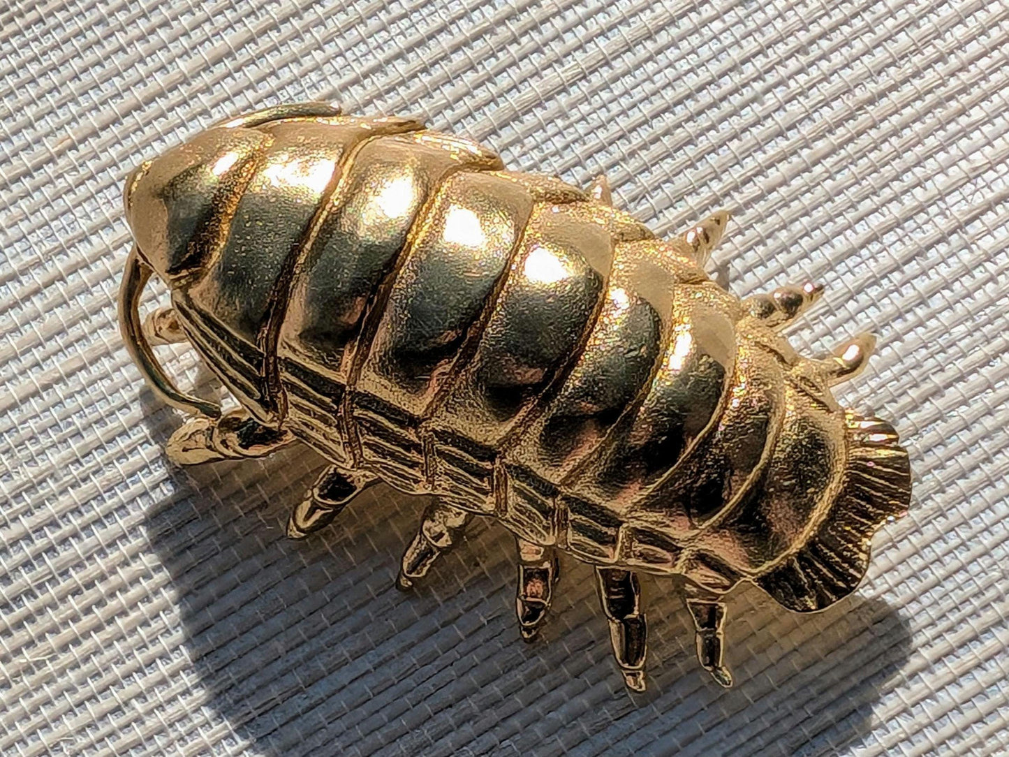 Brass Woodlouse Cabinet Pull: Gold Isopod Door Knob
