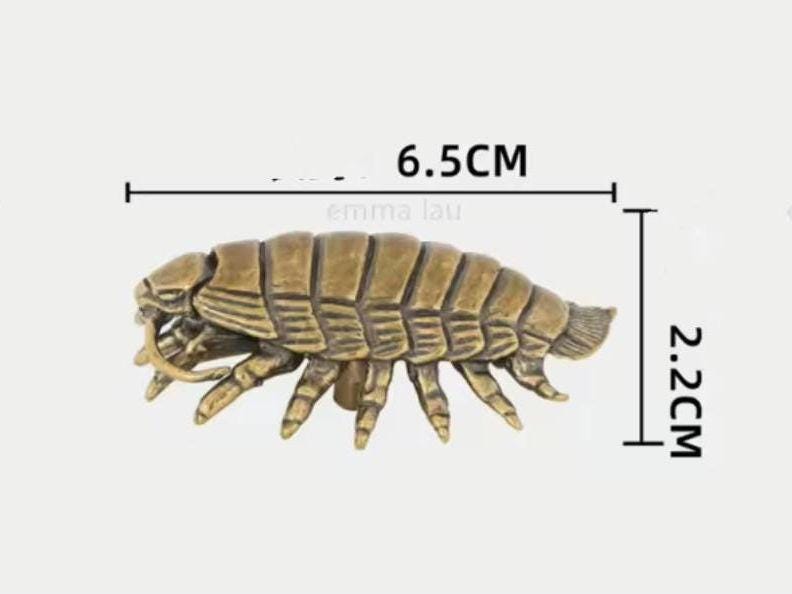 Brass Woodlouse Cabinet Pull: Gold Isopod Door Knob