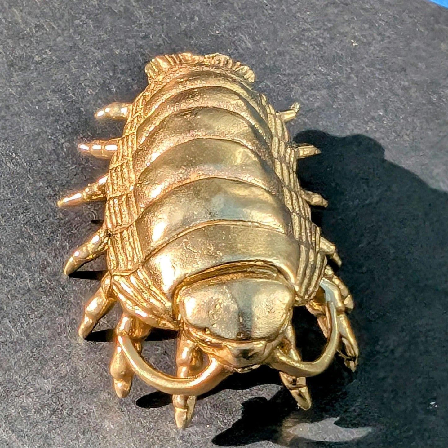 Brass Woodlouse Cabinet Pull: Gold Isopod Door Knob