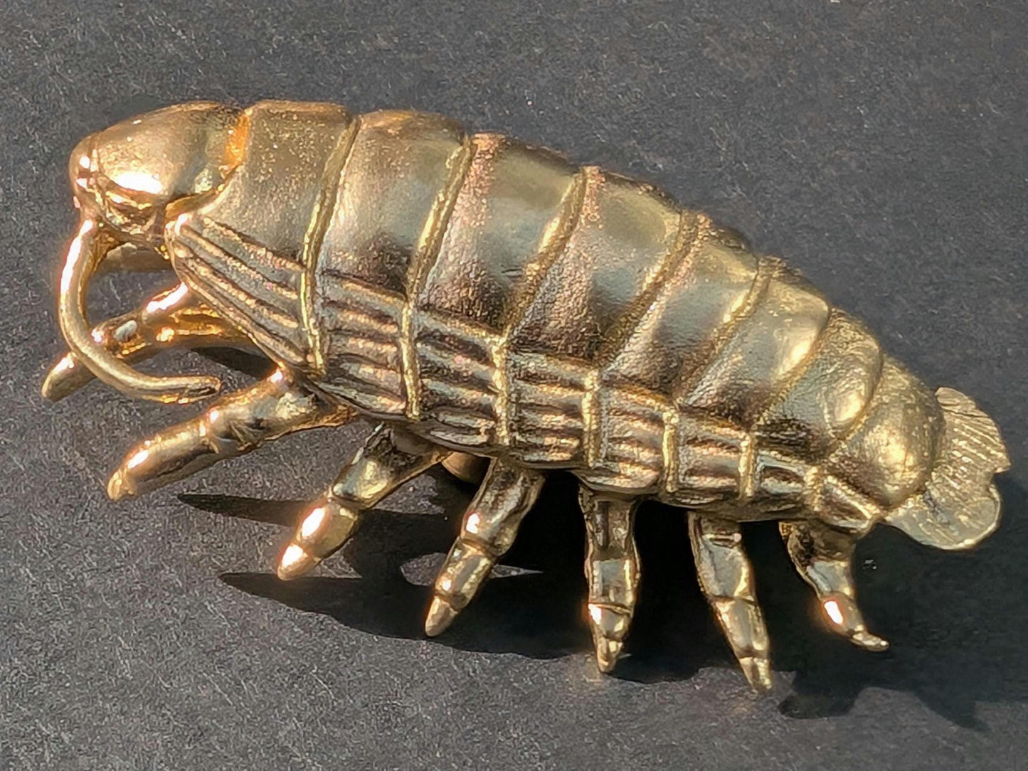 Brass Woodlouse Cabinet Pull: Gold Isopod Door Knob