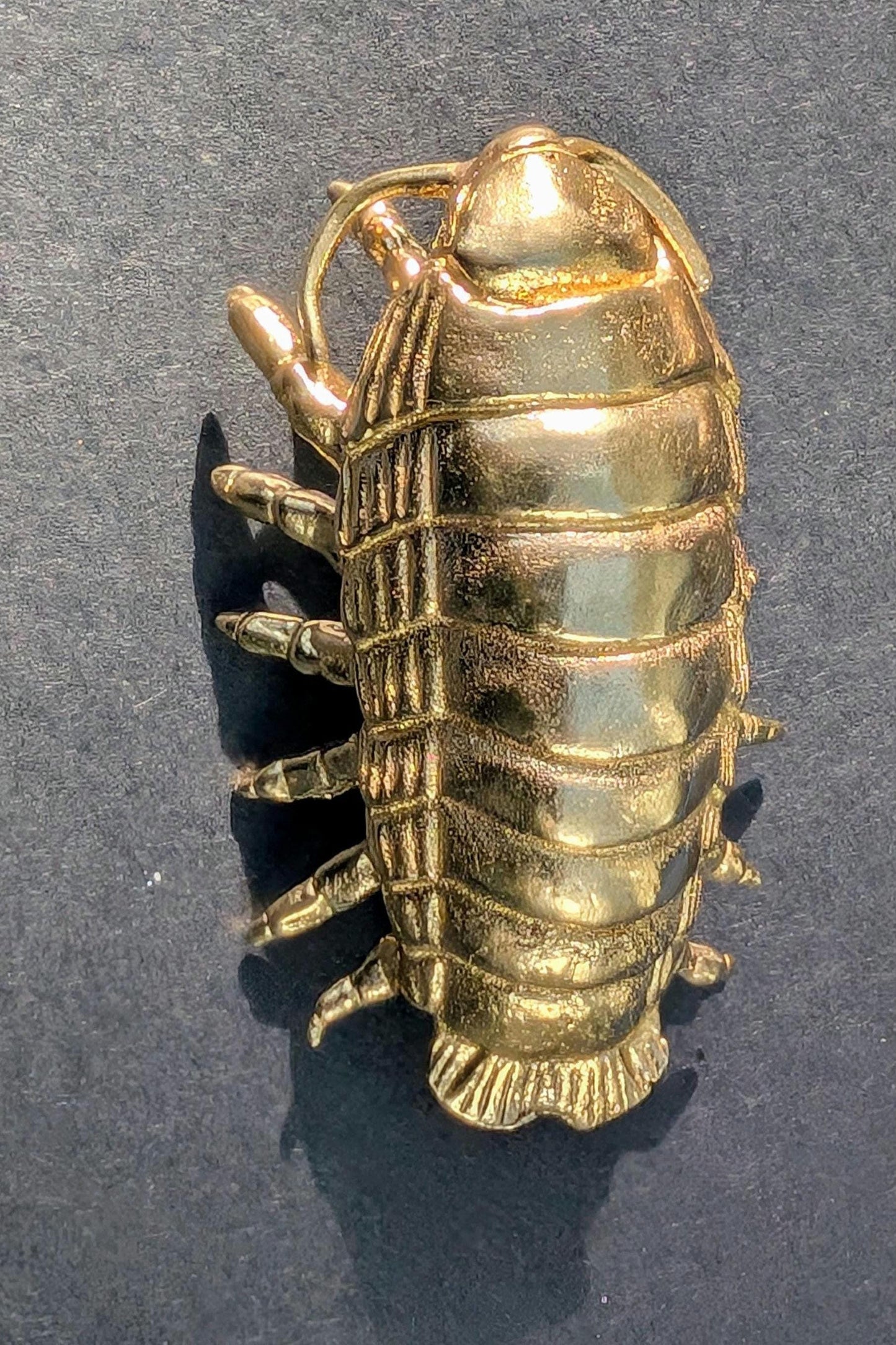Brass Woodlouse Cabinet Pull: Gold Isopod Door Knob