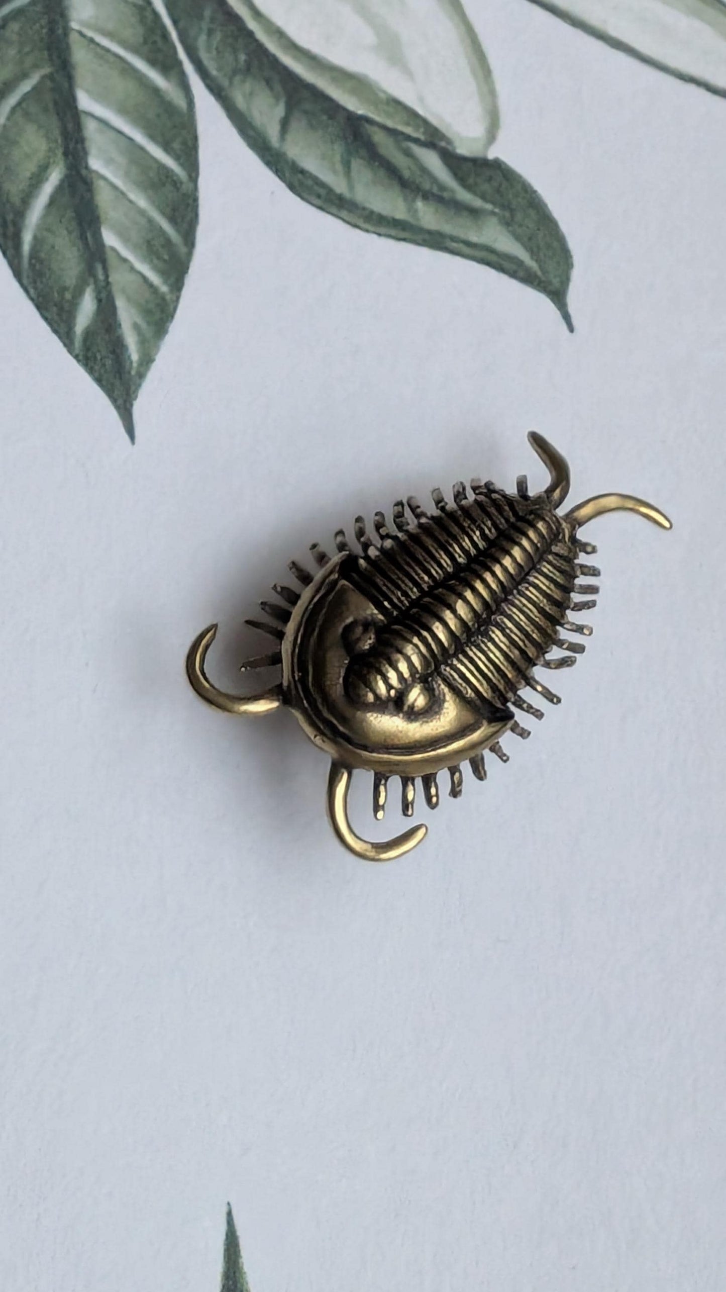Brass Trilobite Cabinet Pull: Unique Furniture Hardware