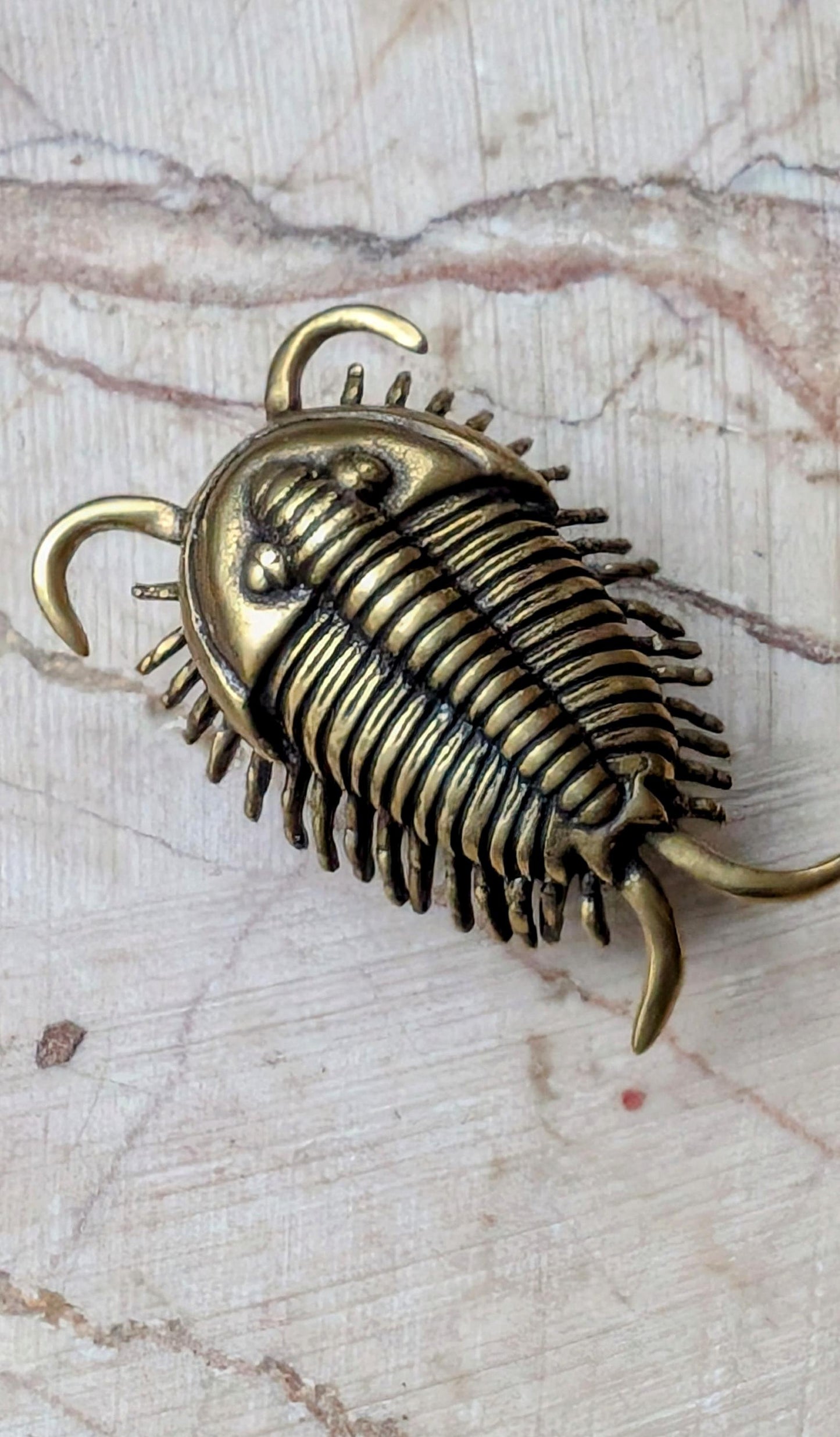 Brass Trilobite Cabinet Pull: Unique Furniture Hardware