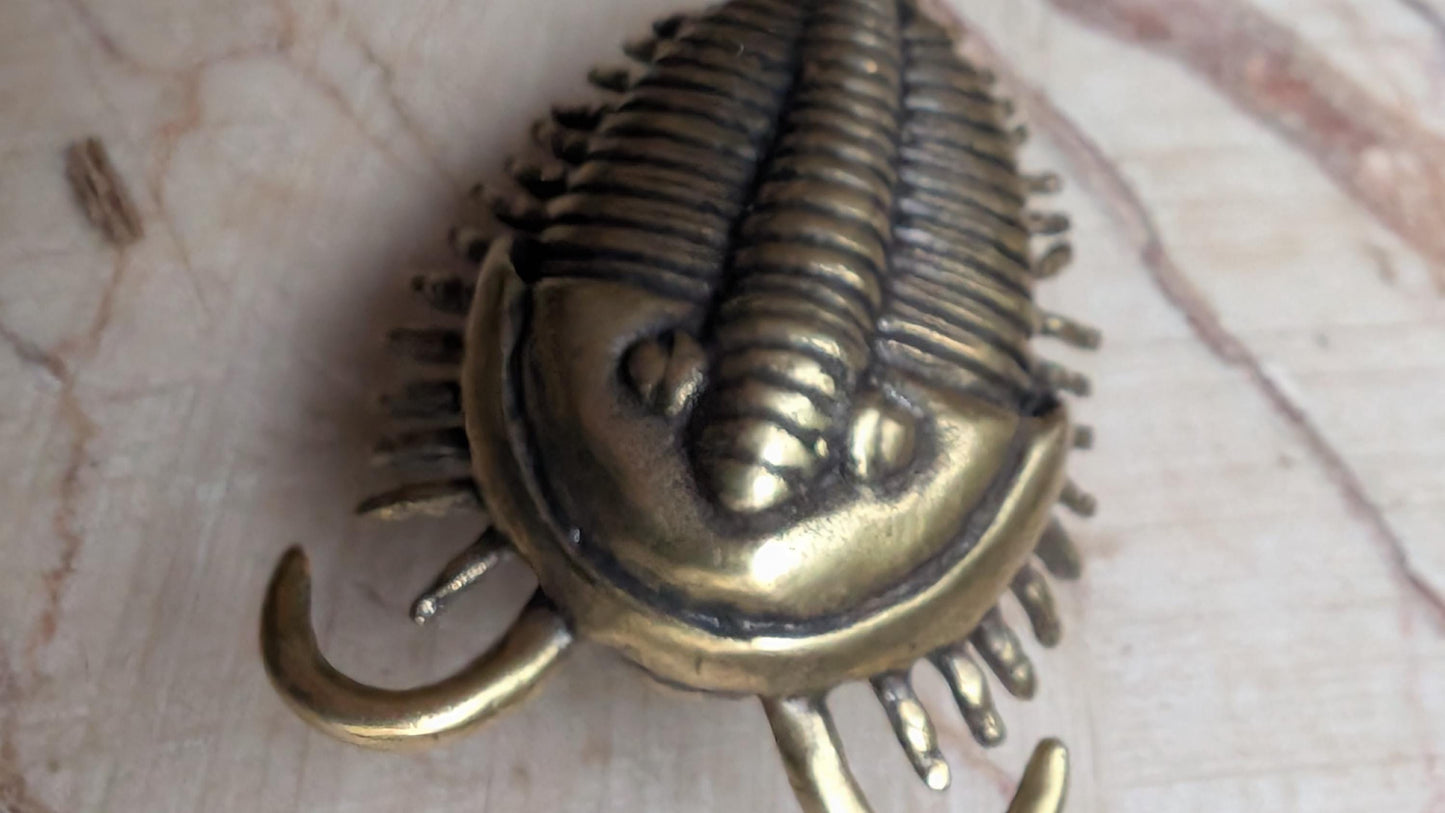 Brass Trilobite Cabinet Pull: Unique Furniture Hardware